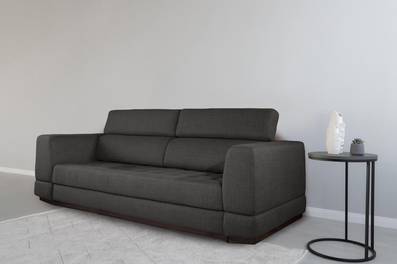 Canapea extensibilă BUTLER 2000, tetiere reglabile, 2560x1120x780 mm, spațiu de dormit 1980x1930 mm.
