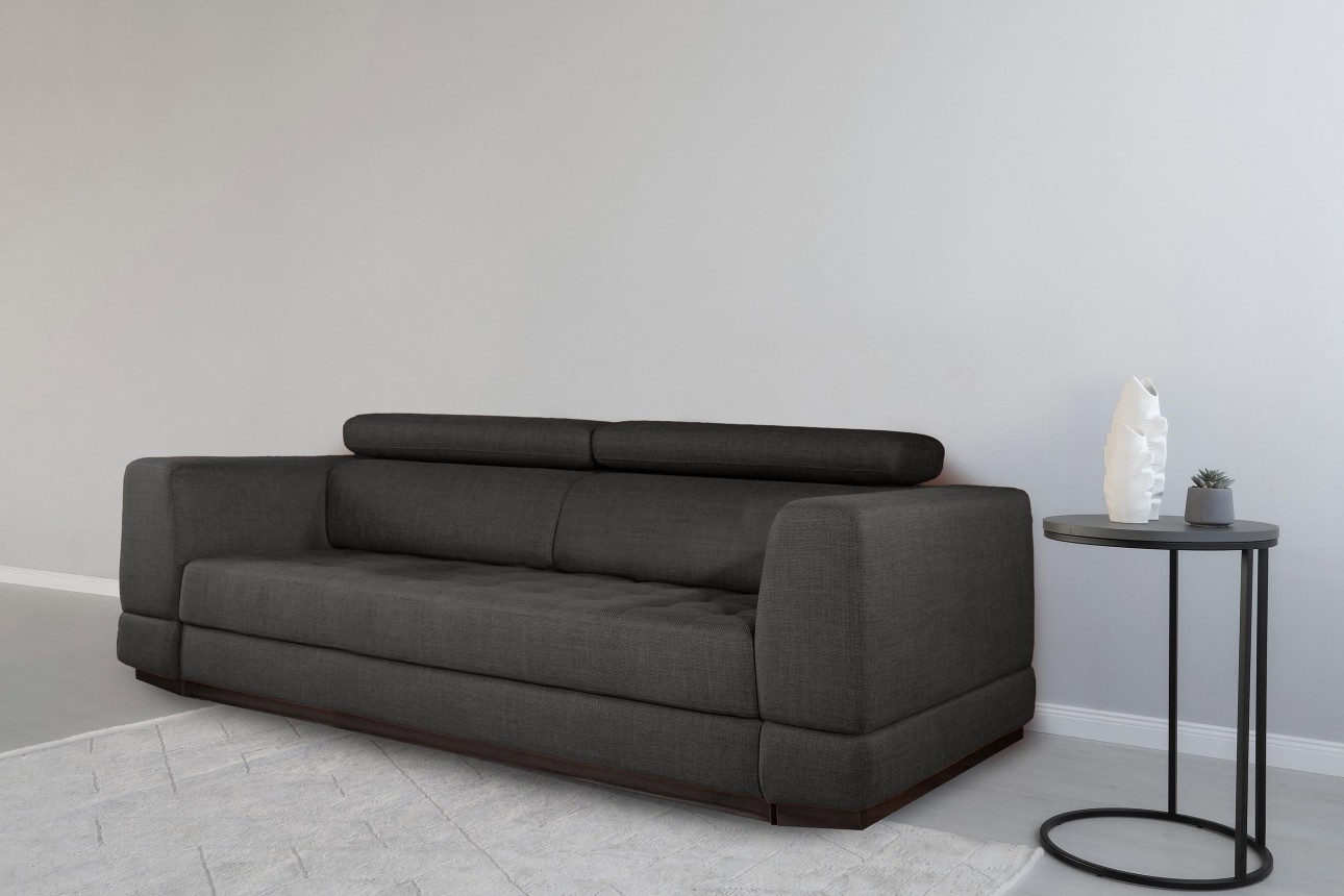 Canapea extensibilă BUTLER 2000, tetiere reglabile, 2560x1120x780 mm, spațiu de dormit 1980x1930 mm.